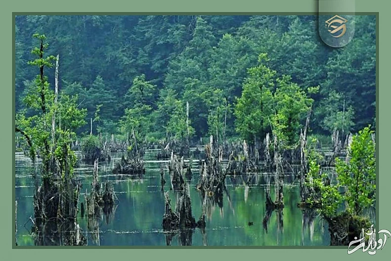 راز‌هایی از مخوف‌ترین مکان‌های ایران که سفر به آن‌ها دل و جرات می‌خواهد؛ از جهنم دره تا تالاب مرموز ارواح + تصاویر